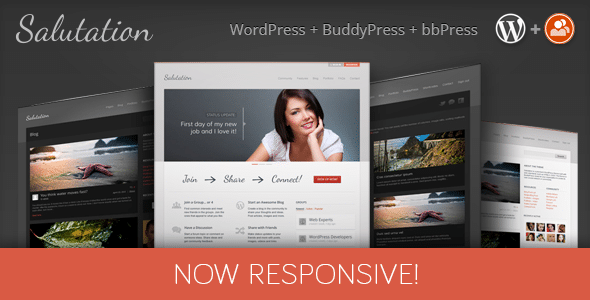 BuddyPress WordPress Theme